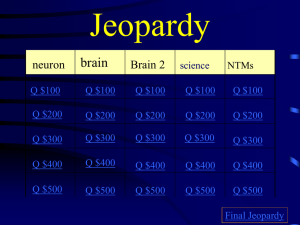 Jeopardy brain neuron Brain 2