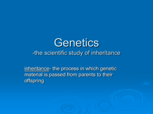 Genetics -the scientific study of inheritance inheritance- the process in which genetic
