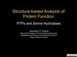 Structure-based Analysis of Protein Function PTPs and Serine Hydrolases Jacquelyn S. Fetrow