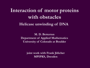 Interaction of  motor proteins with obstacles Helicase unwinding of  DNA