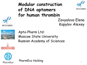 Modular construction of DNA aptamers for human thrombin Zavyalova Elena