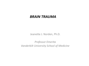 BRAIN TRAUMA Jeanette J. Norden, Ph.D. Professor Emerita Vanderbilt University School of Medicine