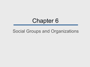 Chapter 6 Social Groups and Organizations