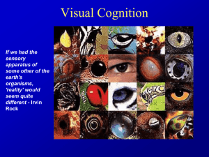 Visual Cognition If we had the sensory apparatus of