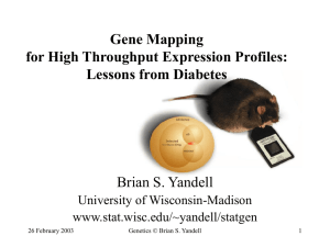 Gene Mapping for High Throughput Expression Profiles: Lessons from Diabetes Brian S. Yandell