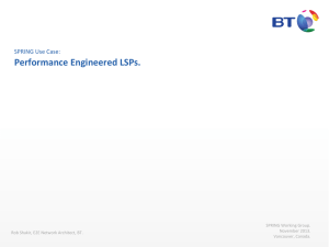Performance Engineered LSPs.