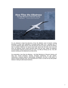 It is my pleasure to share the discovery of how the albatross uses its