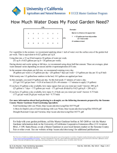 How Much Water Does My Food Garden Need?