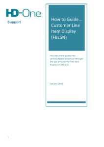 How to Guide… Customer Line Item Display (FBL5N