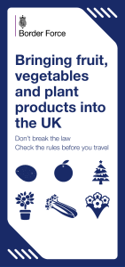 Bringing fruit, vegetable and plant products into the UK