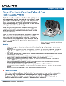 Delphi Electronic Gasoline Exhaust Gas Recirculation Valves