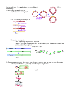 1 Lectures 28 and 29 – applications of recombinant DNA technology