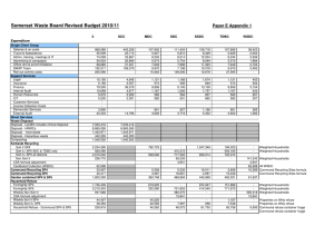 Paper E - Appendix 1 SWB revised budget 2010-11