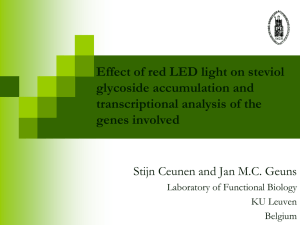 Effect of red LED light on steviol glycoside accumulation and