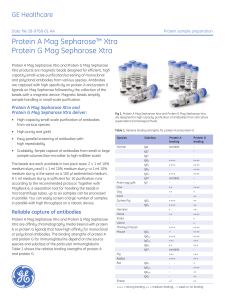 Protein A Mag Sepharose™ Xtra Protein G Mag Sepharose Xtra