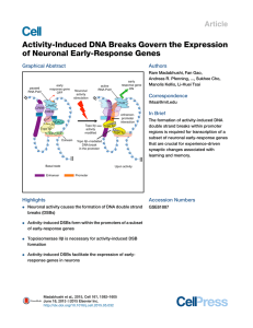 Activity-Induced DNA Breaks Govern the Expression of Neuronal