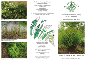 Ferns for damp or wet conditions - the British Pteridological Society