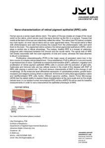 Nano-characterization of retinal pigment epithelial (RPE) cells