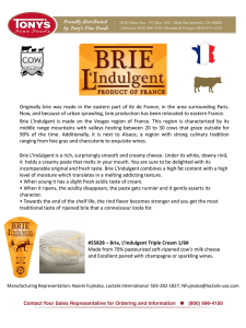 Originally brie was made in the eastern part of Ile de France, in the
