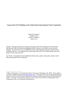 Large Scale CGE Modeling at the United States International