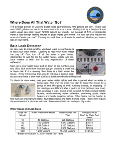 Where Does All That Water Go? Be a Leak Detector