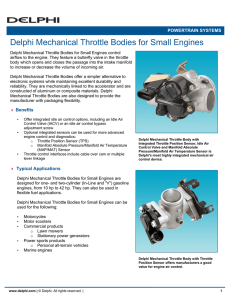 Delphi Mechanical Throttle Bodies for Small Engines