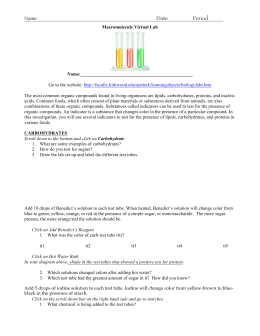 macromolecules-virtual-lab