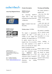 Adem-Mag Magnetic Devices Product Description Warning and