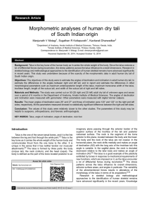 Morphometric analyses of human dry tali of South Indian origin