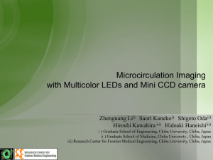 Microcirculation Imaging with Multicolor LEDs and Mini CCD camera
