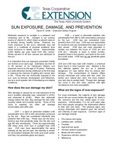 SUN EXPOSURE, DAMAGE, AND PREVENTION