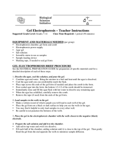 Gel Electrophoresis – Teacher Instructions