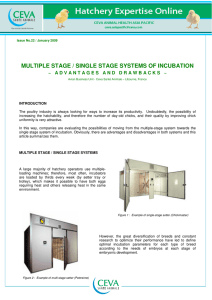 multiple stage / single stage systems of incubation