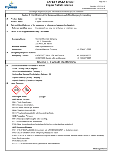 Copper Sulfate Solution SAFETY DATA SHEET Section 2. Hazards