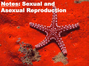 Notes: Sexual and Asexual Reproduction