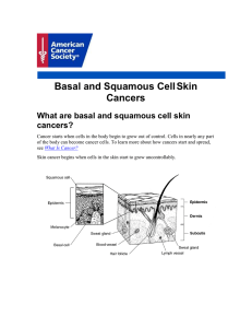 Basal and Squamous Cell Skin Cancers