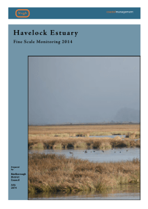 Havelock Estuary Fine Scale Monitoring 2014