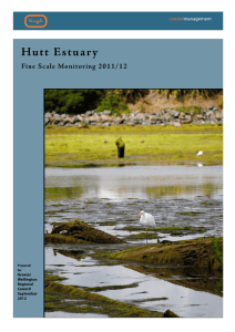 Hutt Estuary: Fine Scale Monitoring 2011/12