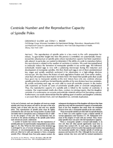 Centriole Number of Spindle Poles and the Reproductive Capacity