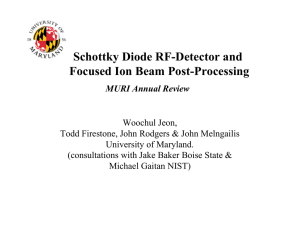 Schottky Diode RF-Detector and Focused Ion Beam Post