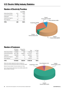US Electric Utility Industry Statistics