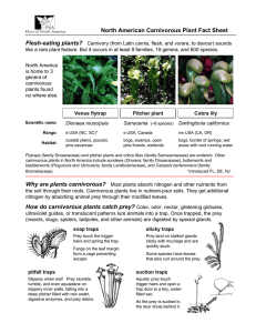 North American Carnivorous Plant Fact Sheet