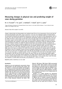 Measuring changes in physical size and predicting weight of sows