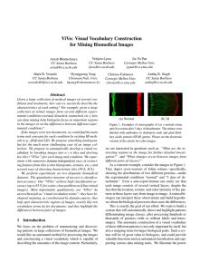 ViVo: Visual Vocabulary Construction for Mining Biomedical Images