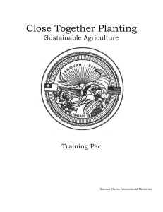 Close Together Planting - Sommer Haven Ranch International