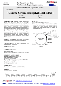 Kikume Green-Red (pKikGR1-MN1)