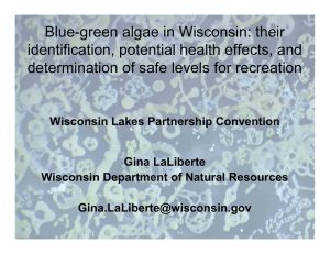 Blue-green algae in Wisconsin: their identification, potential