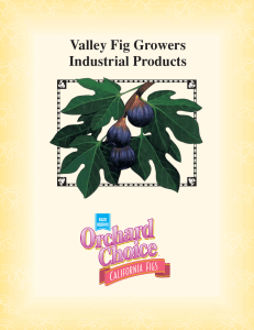 Valley Fig Growers Industrial Products