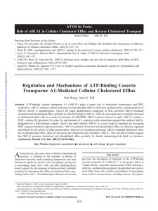 Regulation and mechanisms of ATP-binding cassette transporter A1