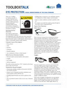 Eye Protection - SWR Institute